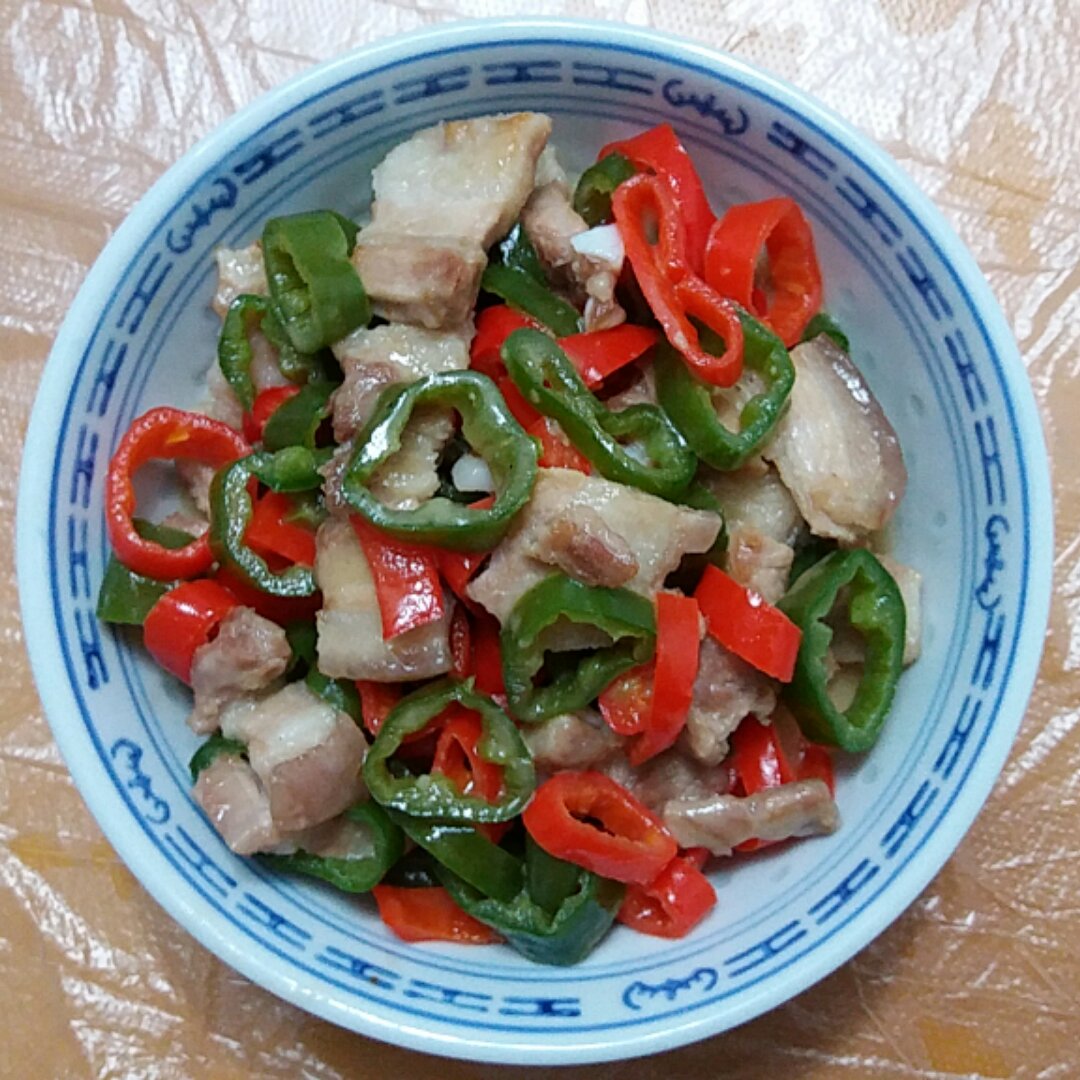 小龙女_5y4b做的青红椒炒肉片