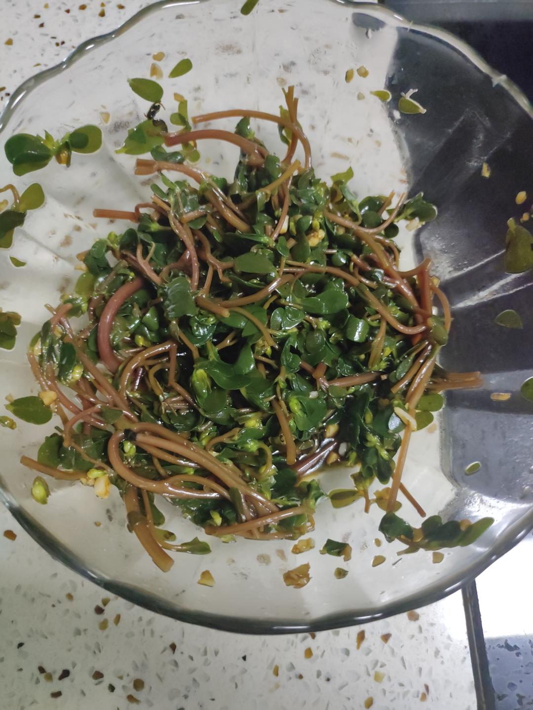 凉拌马齿菜