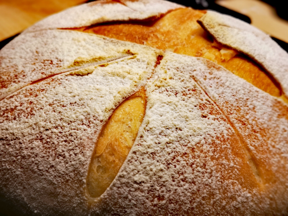 不加糖不加黄油好吃又好看的波兰酵种面包的做法 步骤9