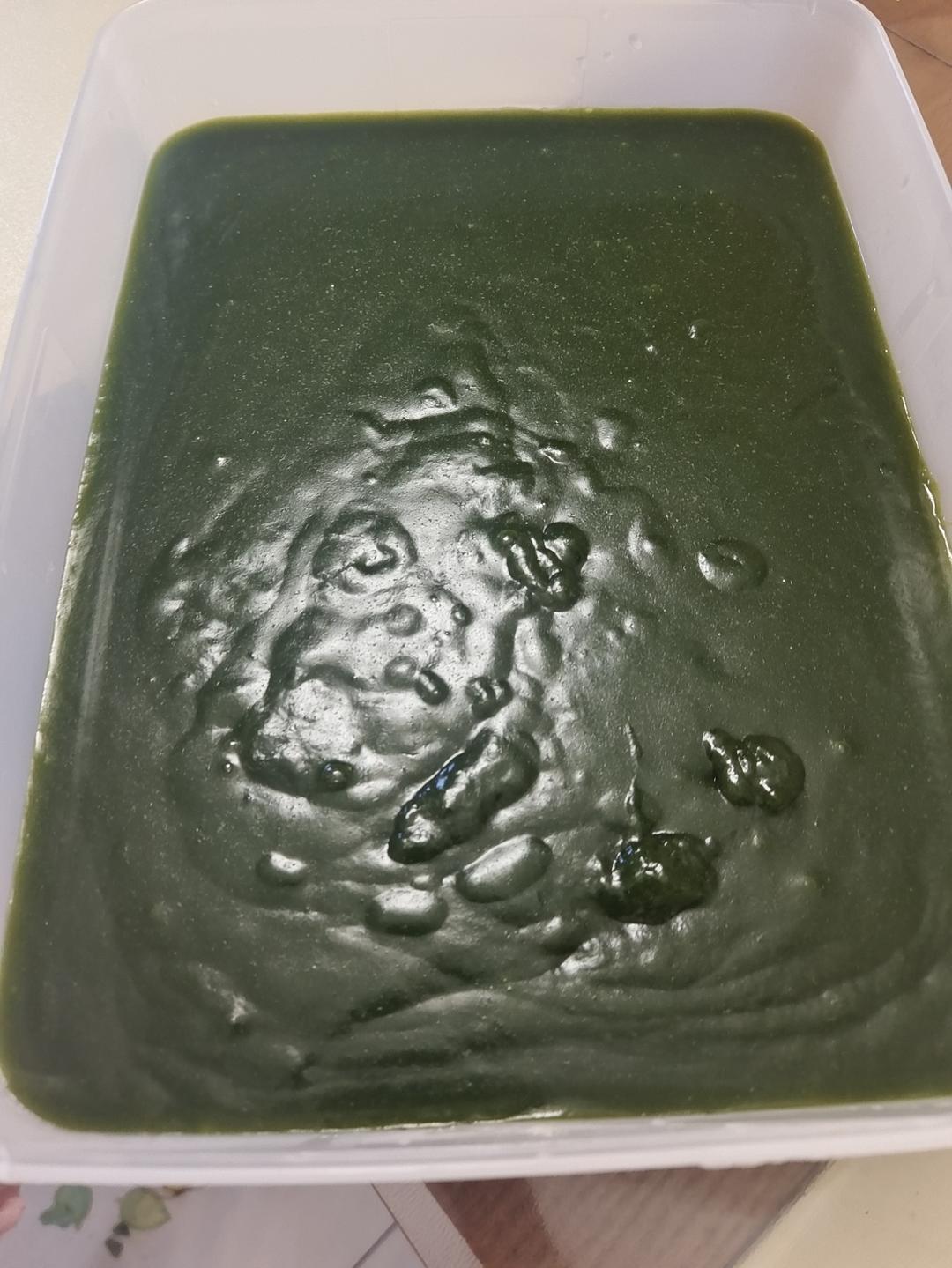 新鲜凉粉草