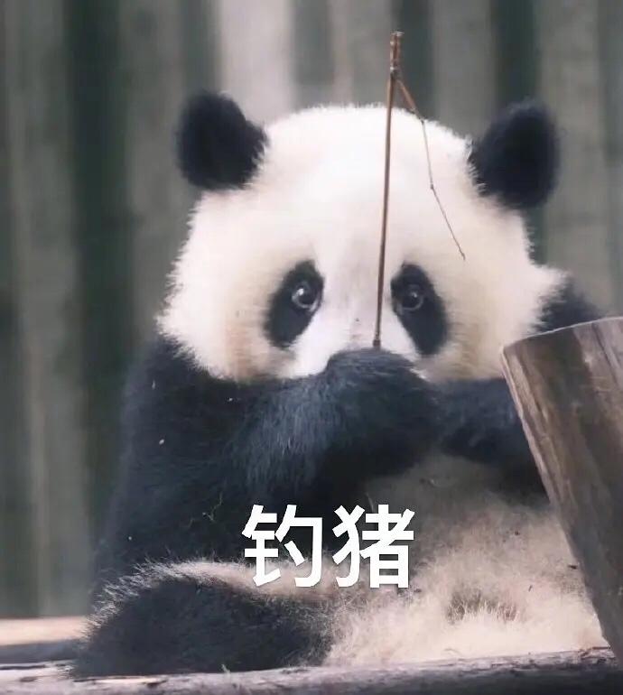 山楂陈皮麦芽饮