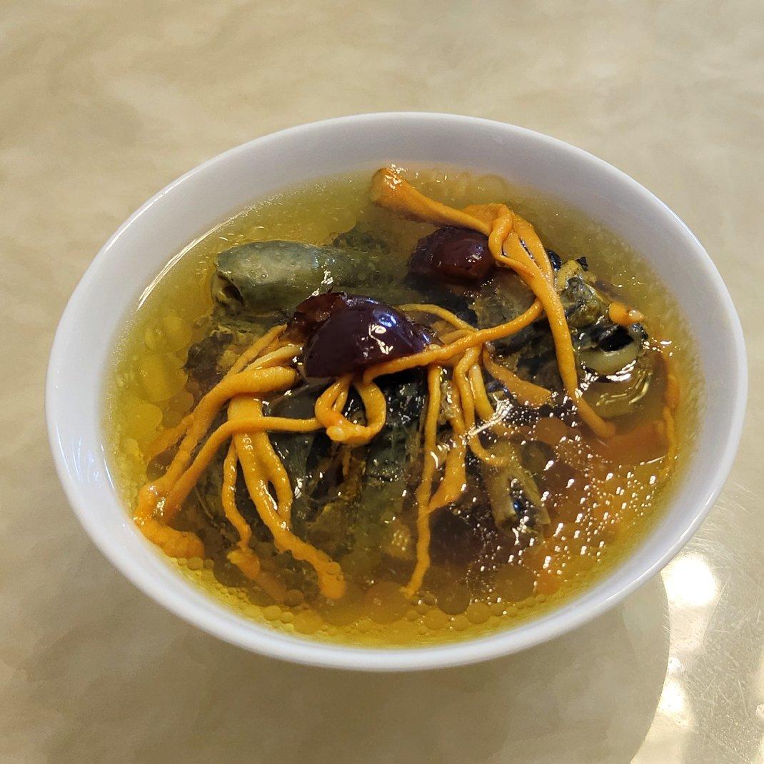 虫草花乌鸡汤