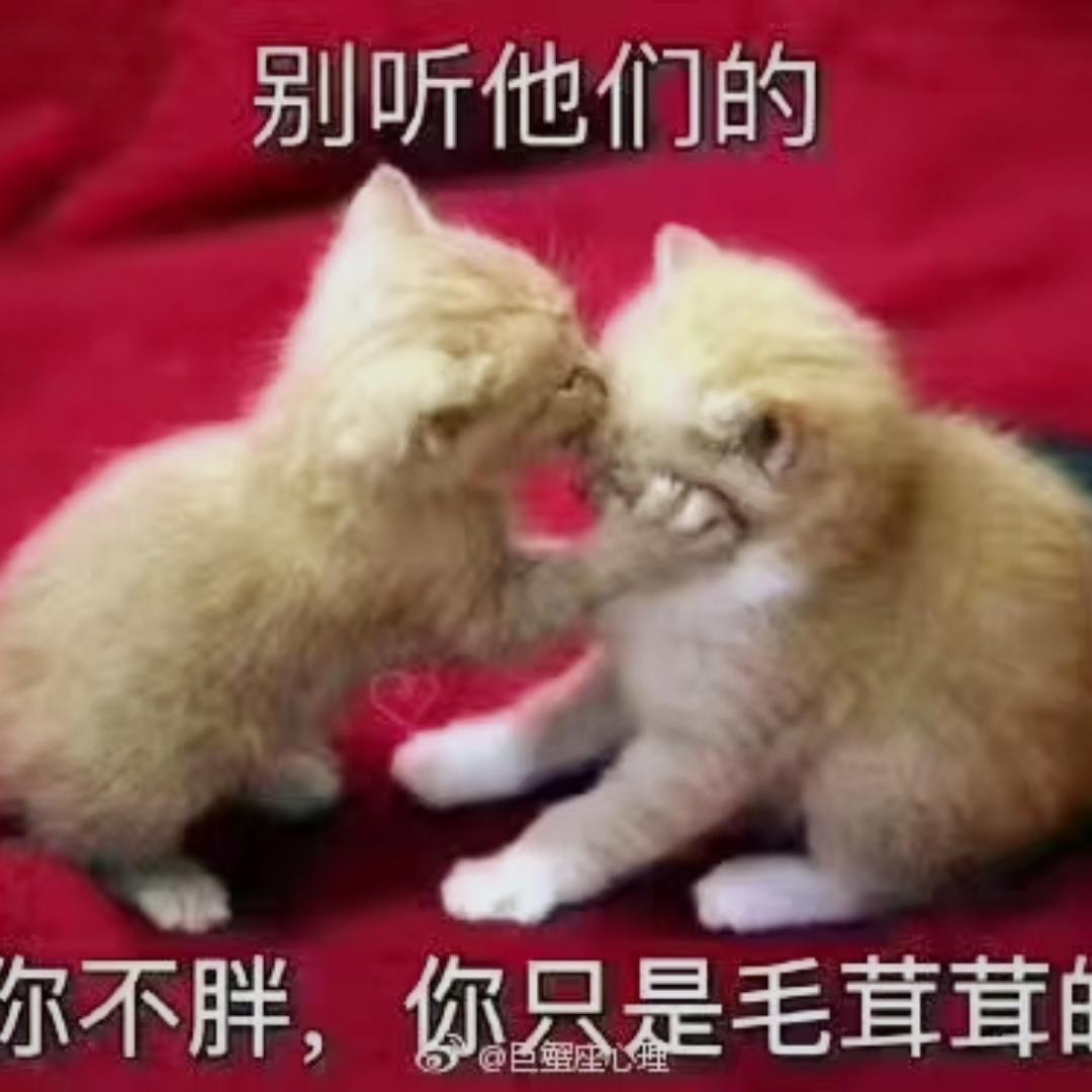 大鱼漫天飞舞