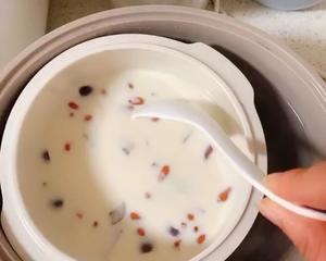 花胶炖牛奶/奶冻的做法 步骤4