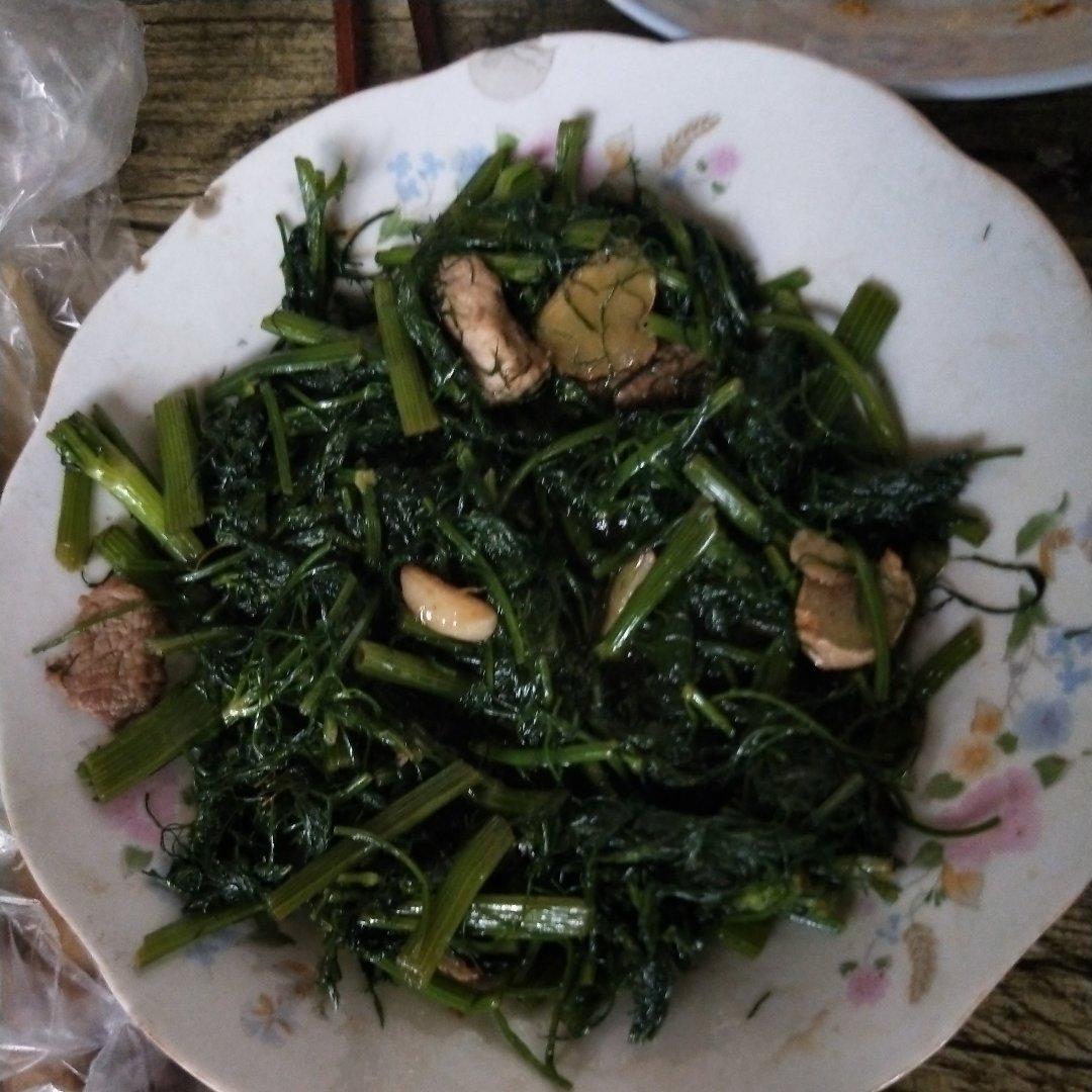 茴香炒肉