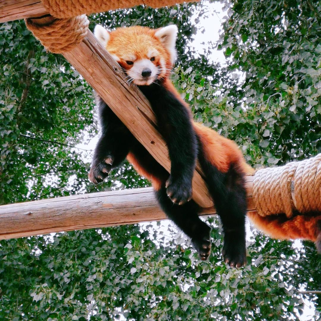 确定不再吃一口吗