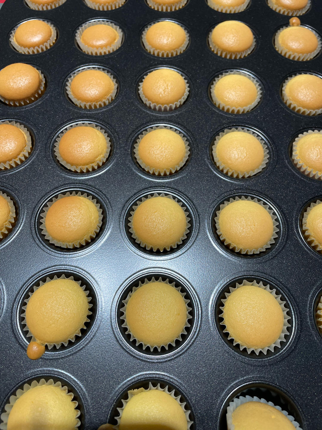 视频👶一口一个｜超可爱｜原味｜mini宝宝小蛋糕｜48连24连通用