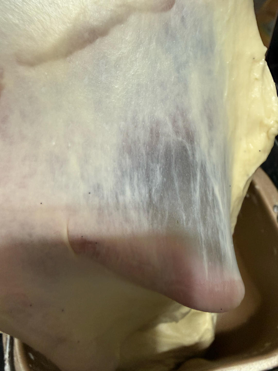 放三天依旧柔软的香草淡奶油吐司【波兰种】