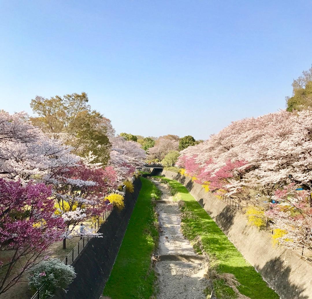 晚餐•2018年3月31日