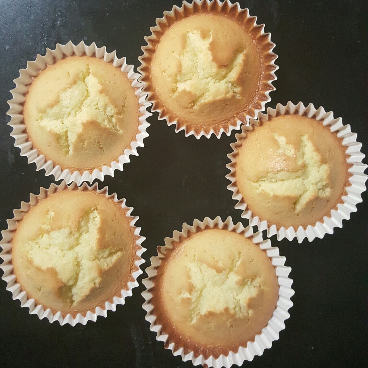 不会回缩的纸杯蛋糕--海氏烤箱定制