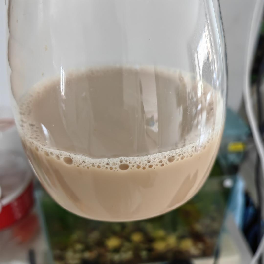 不要点外卖啦，自制奶茶，超简单