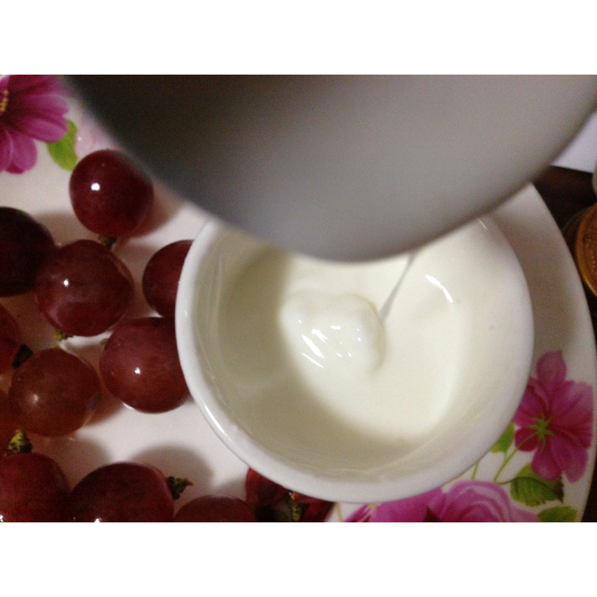 自制进口10菌酸奶的做法