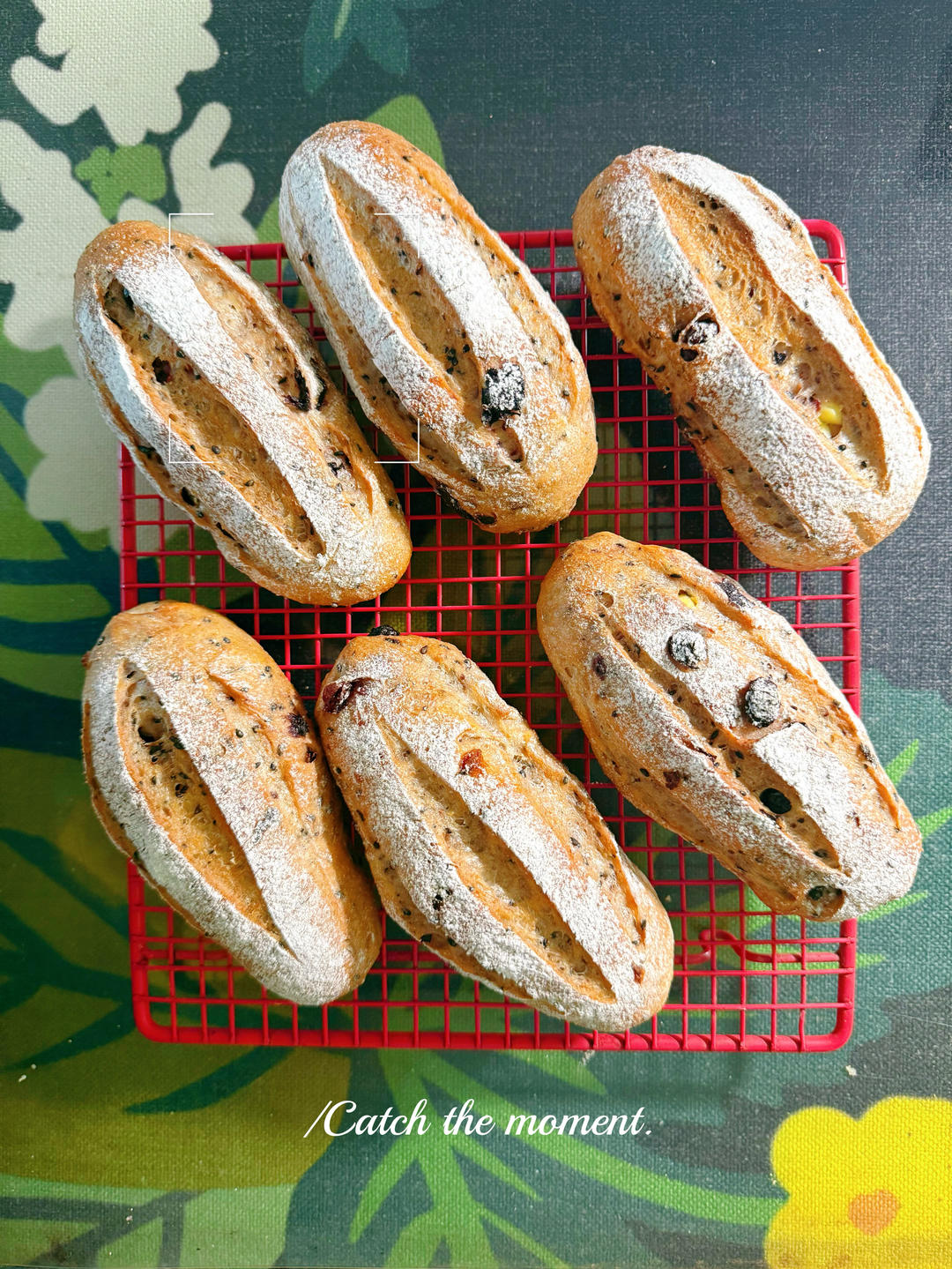 🥖黑芝麻蔓越莓面包｜无油糖无需揉面🉑