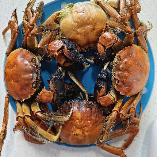 谢蟹