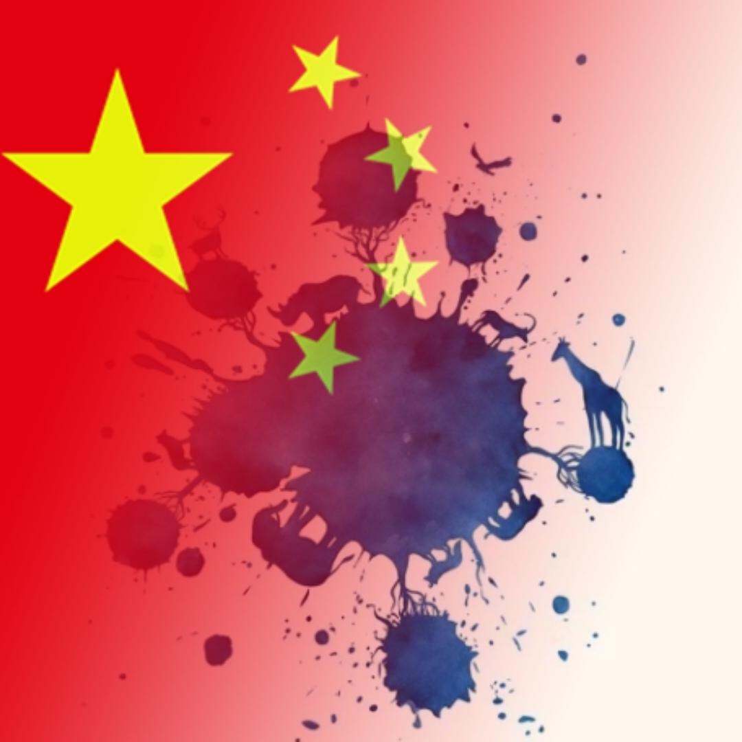 追风的厨房