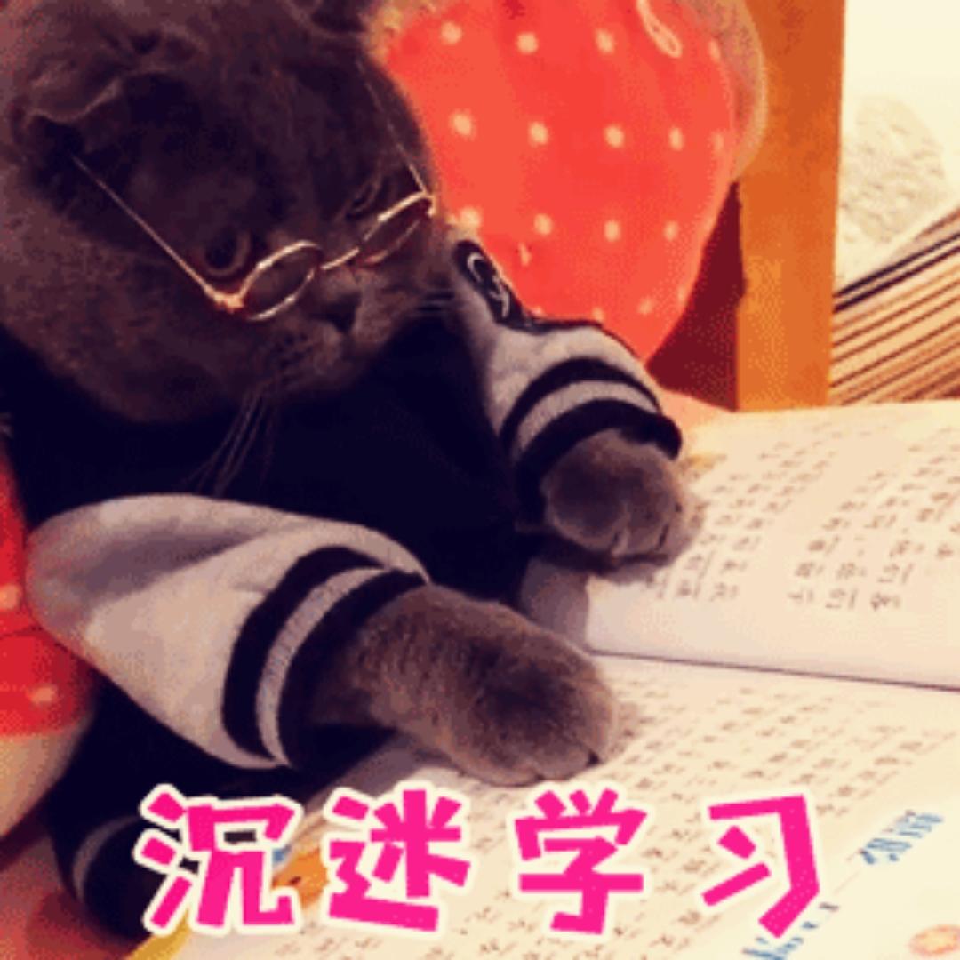 甜甜圈圈小糯糯