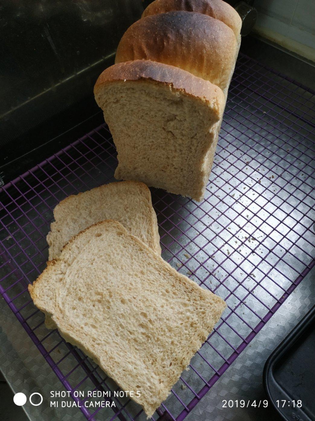 全麦波兰酵头吐司