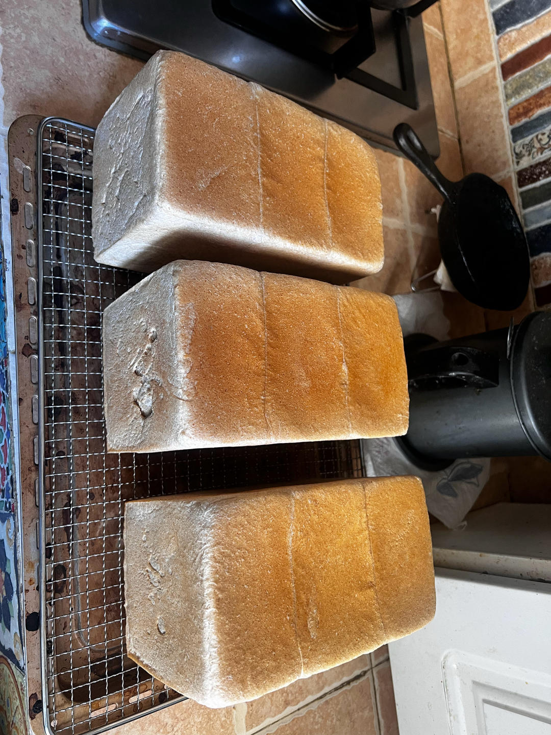 波兰种全麦吐司