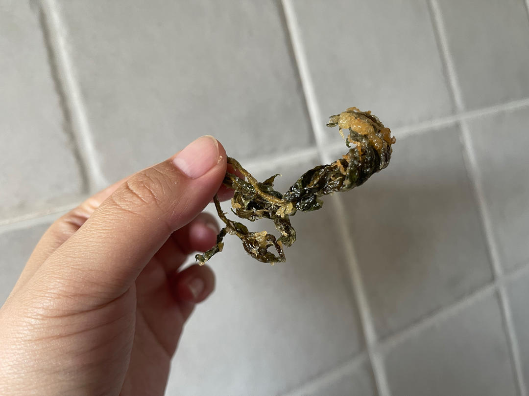 荠菜豆腐羹【4月北鼎养生壶食谱】