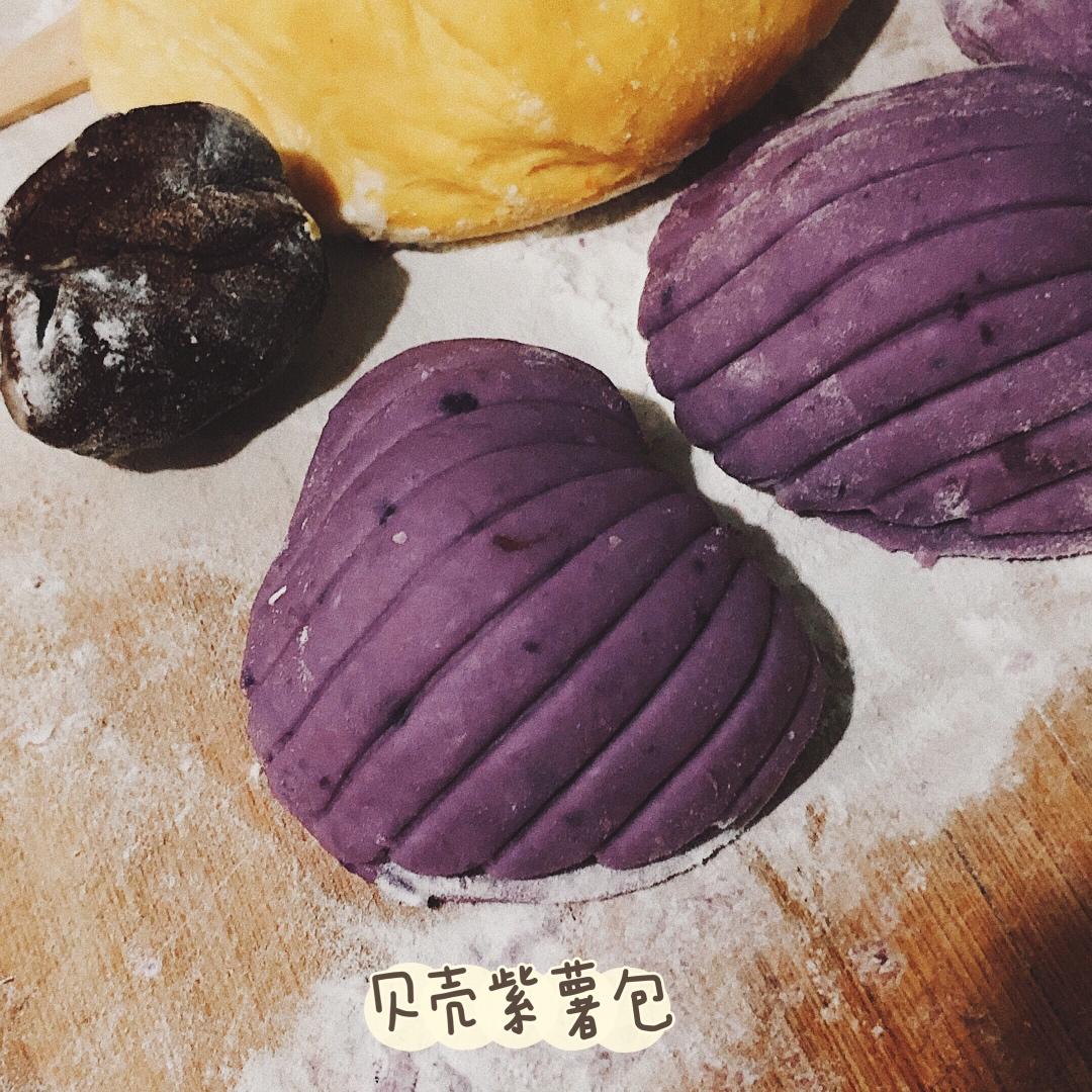 太斑斓贝壳豆沙包