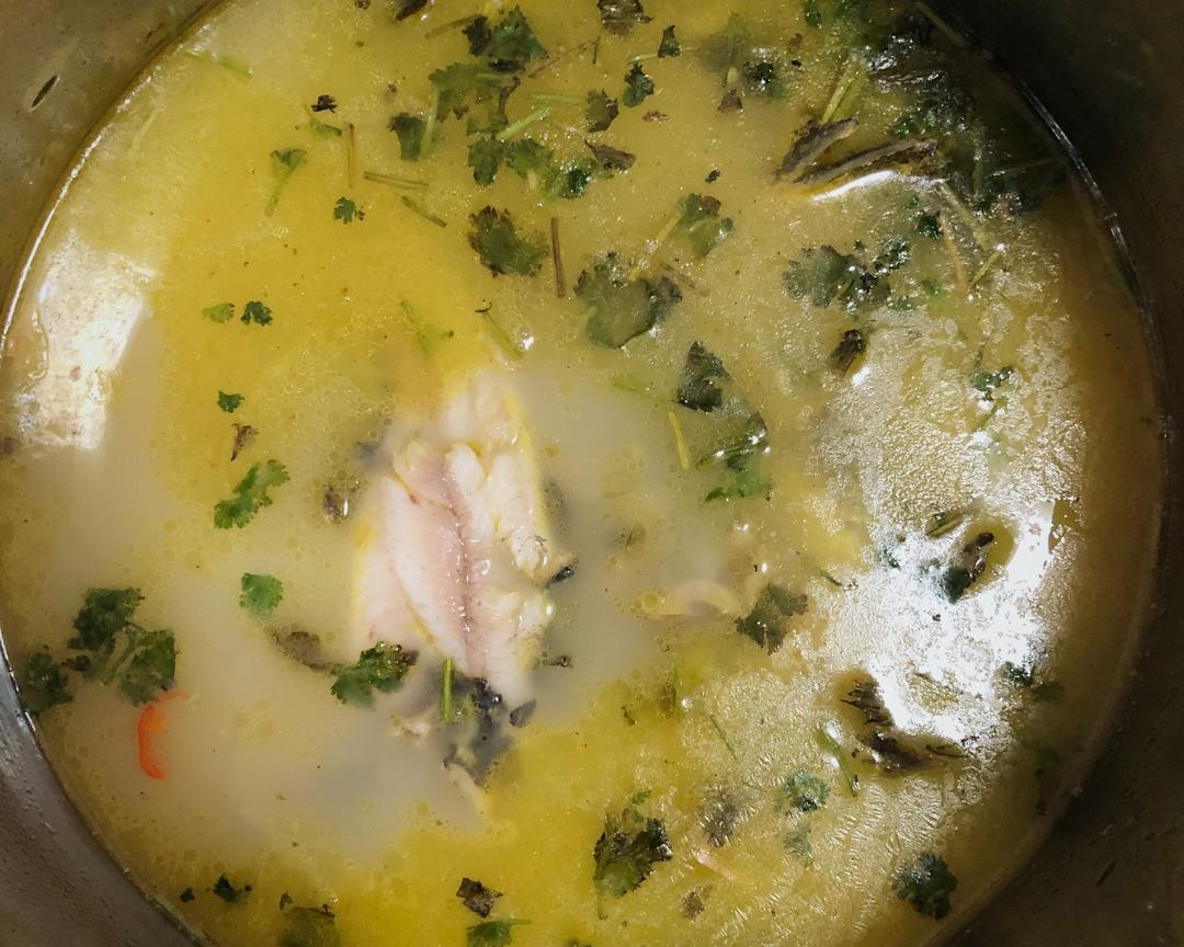 鲜味黄辣丁（嘎鱼）汤