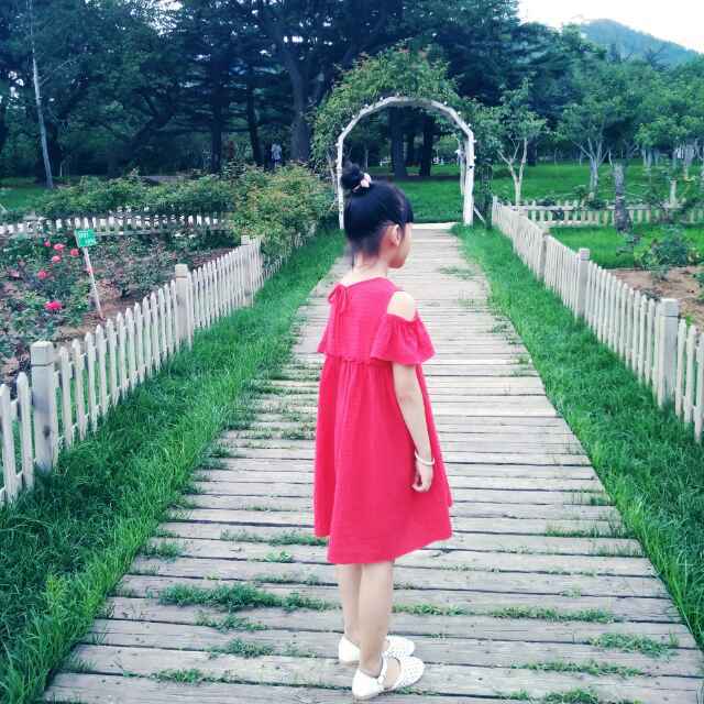 曲奇面包蛋糕卷