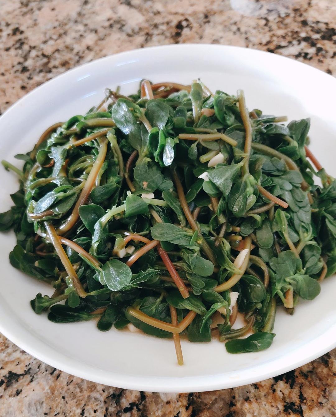 凉拌马马菜（凉拌马齿苋）