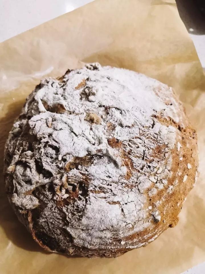 中种全麦坚果软欧包