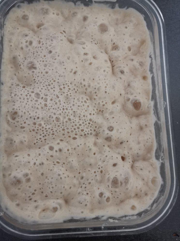 鲁邦液种天然酵母的制作