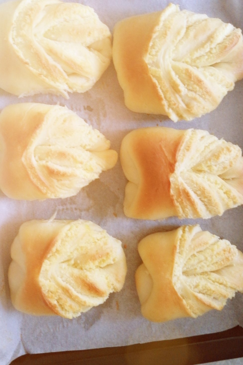 椰蓉叶子面包