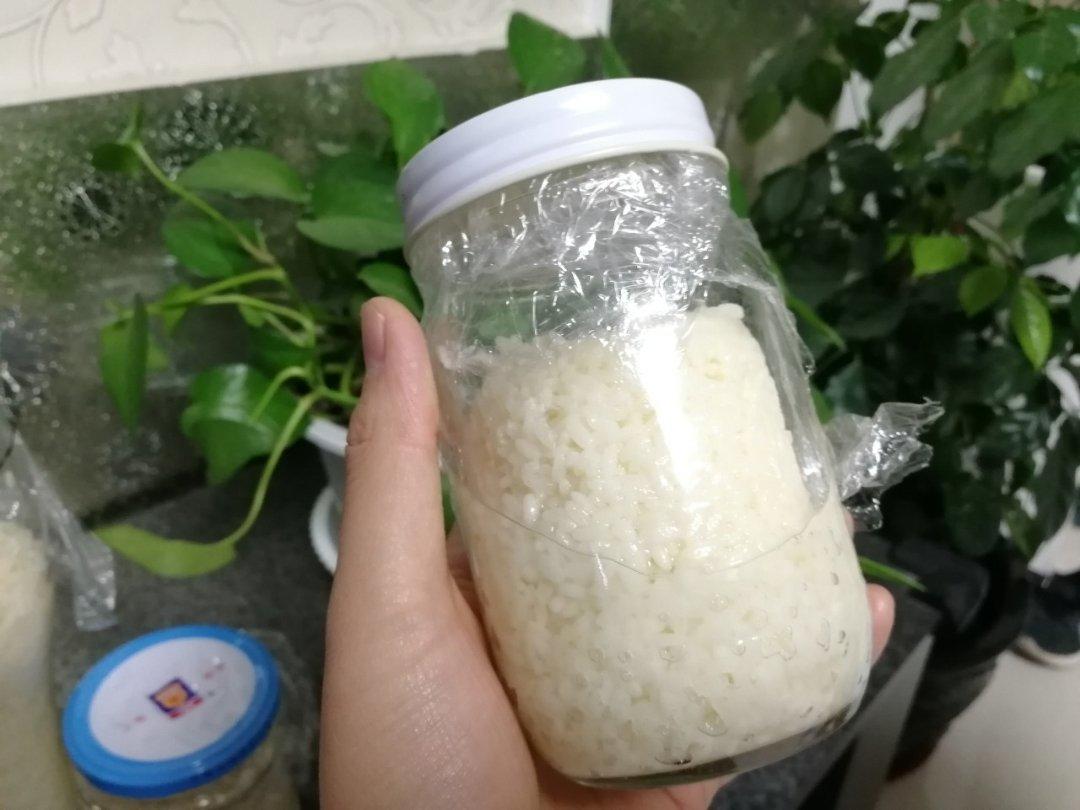 6分钟自制米酒【省事米酒最简易的打开方式】ヽ(•̀ω•́ )ゝ自制酒糟.醪糟.酒酿