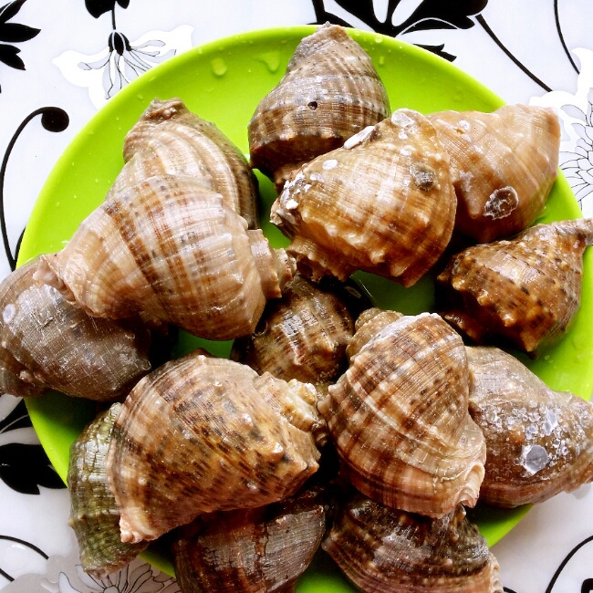 水煮海螺
