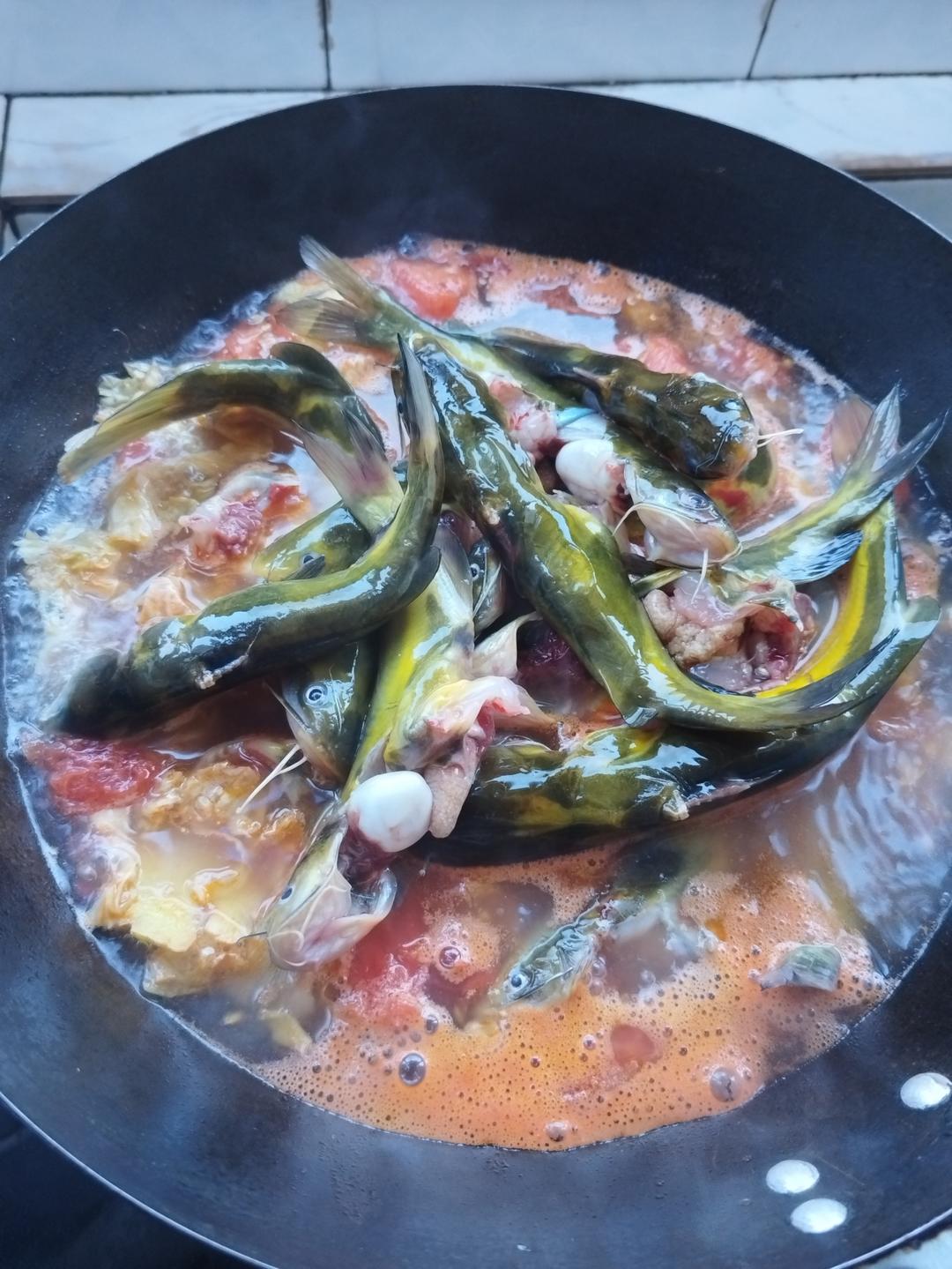 黄骨鱼炖豆腐——简单美味