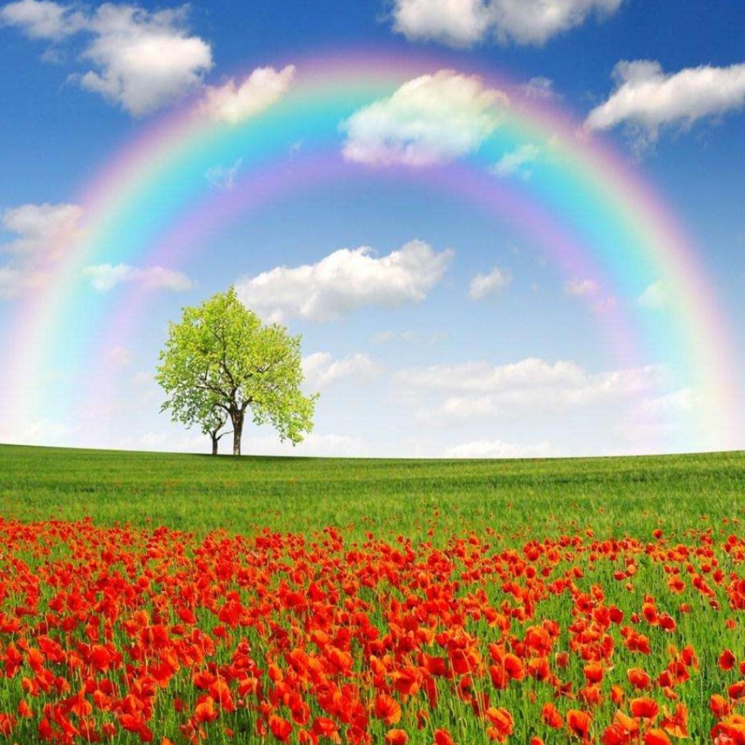 王师傅的小饭桌