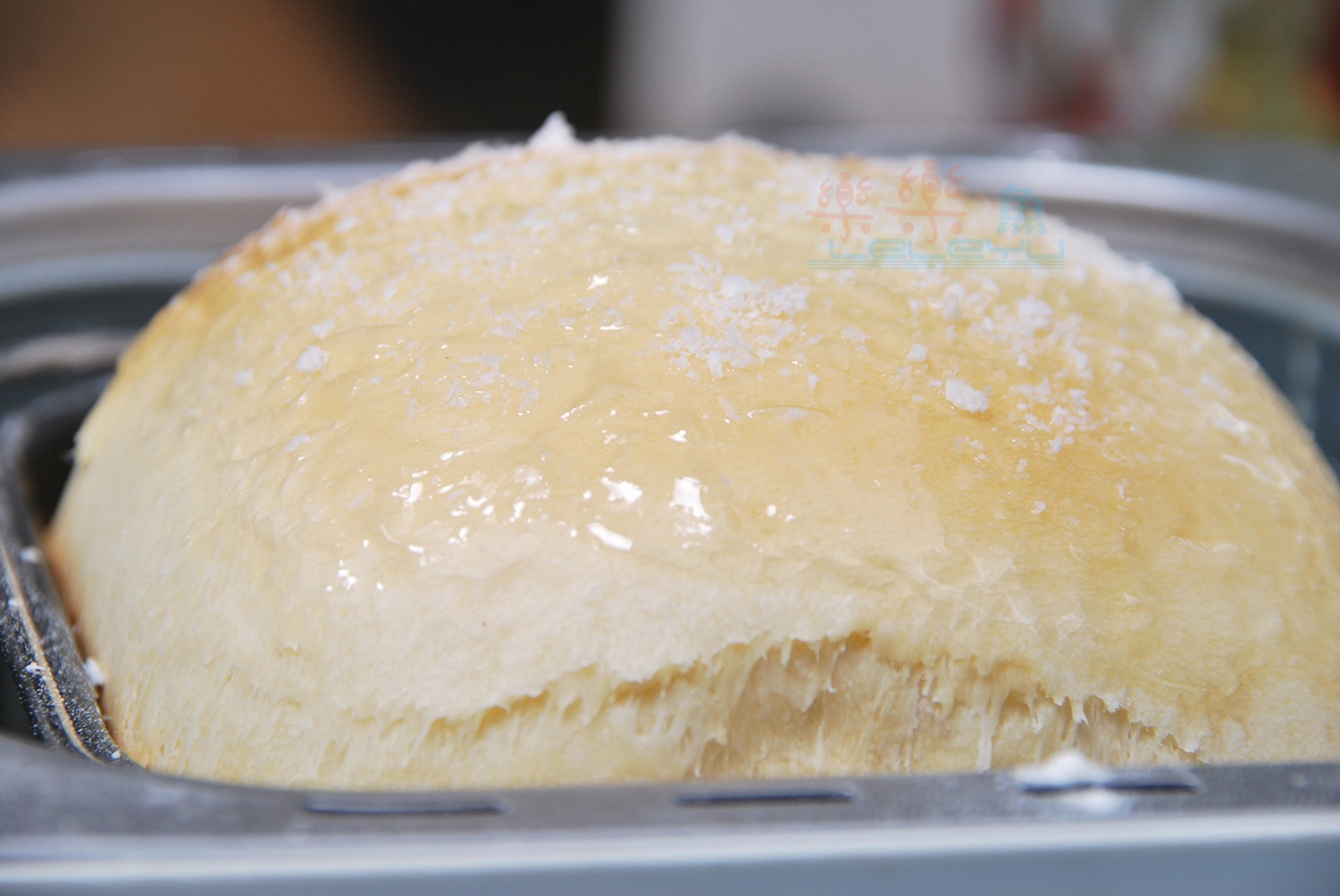 手把手教你做美味甜面包--韩国ange儿童面包机的做法