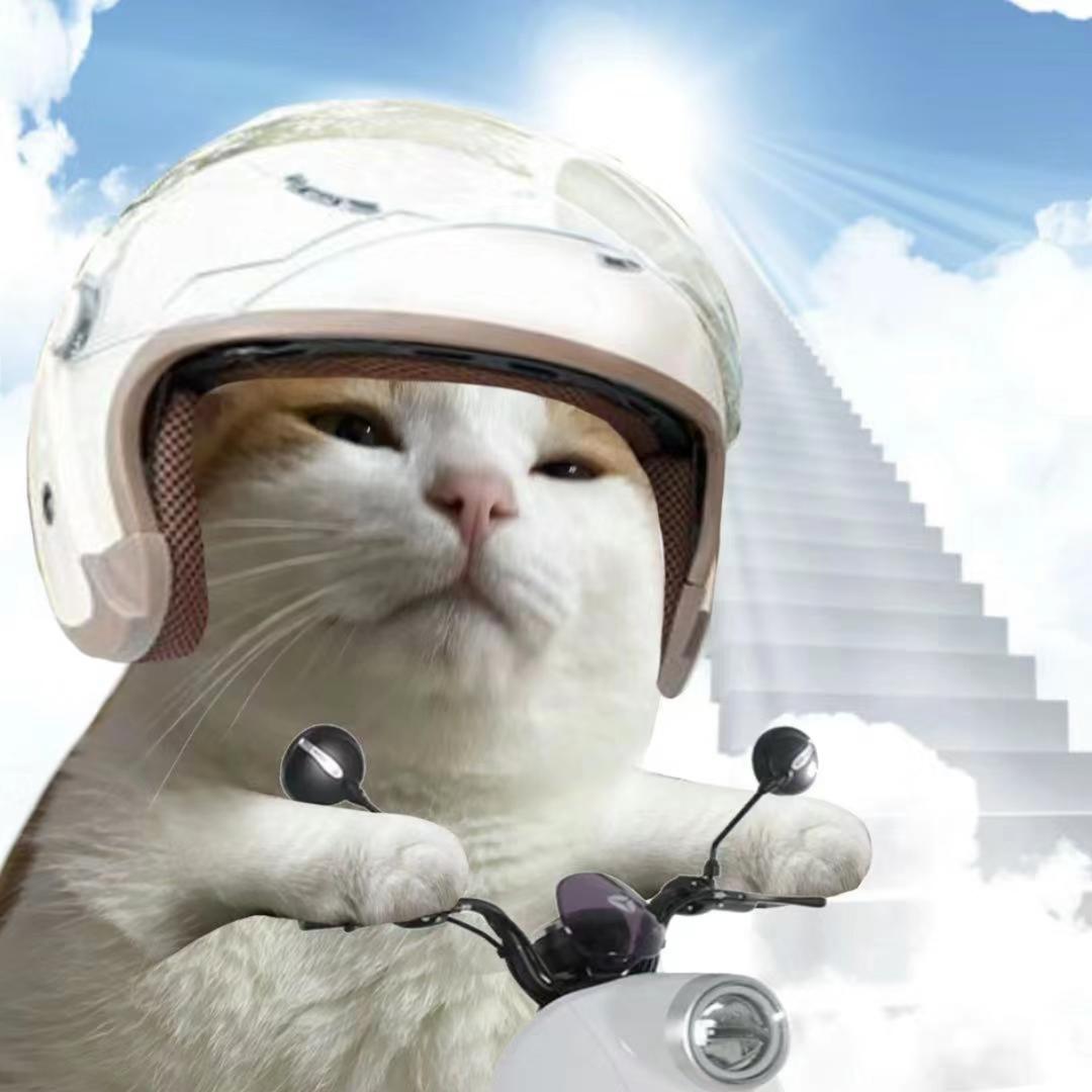 我来看看今天吃什么呢