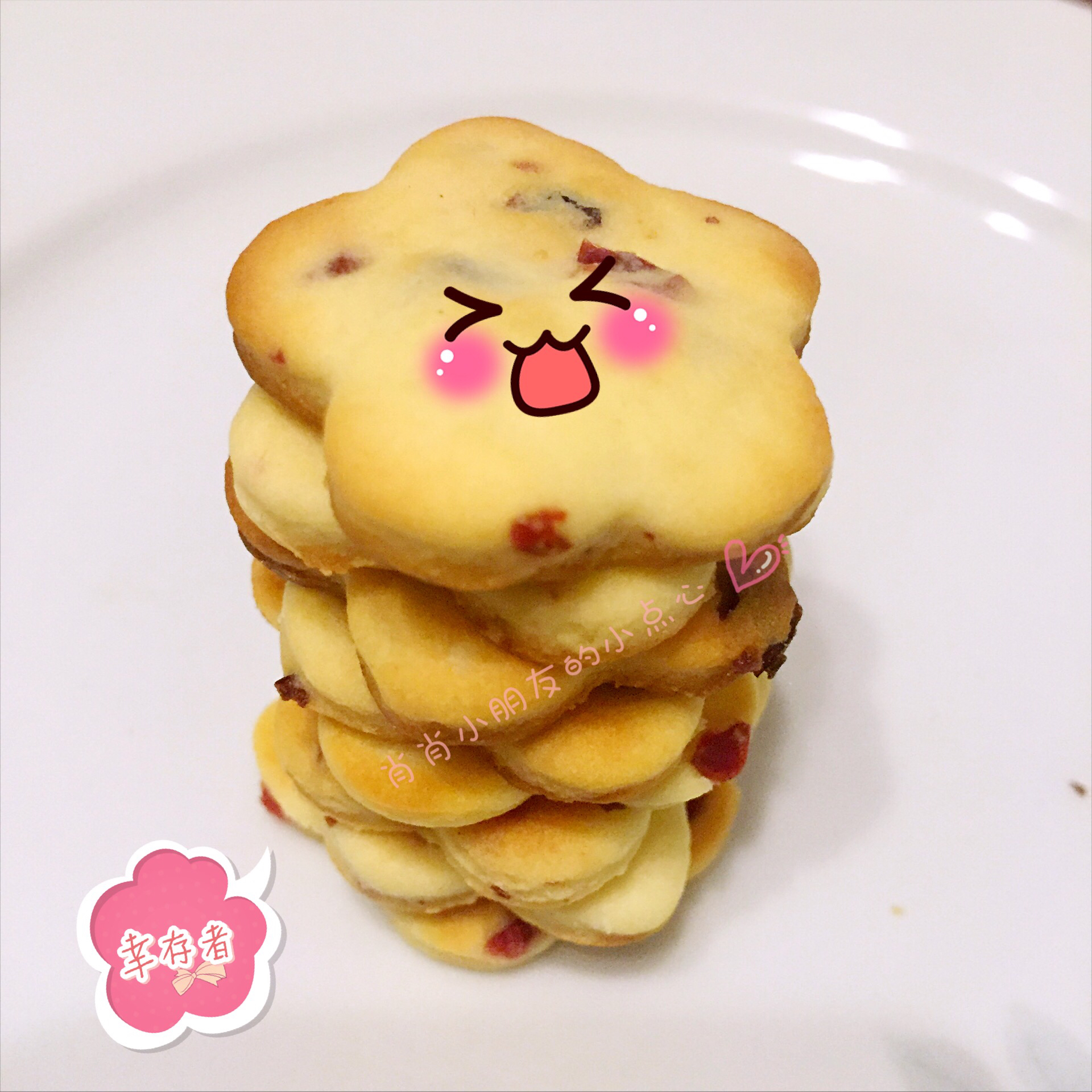 酸奶蔓越莓饼干