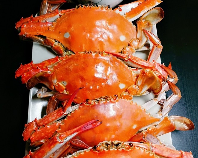 海蟹的做法(冰冻海蟹的做法) 海蟹的做法(冰冻海蟹的做法)