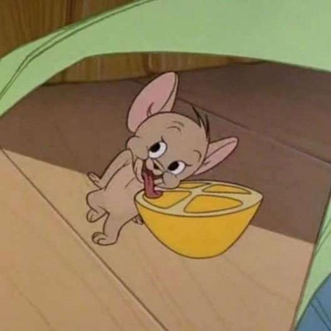 柑橘味的栀子花