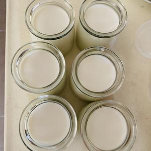 自制老酸奶的做法 步骤6