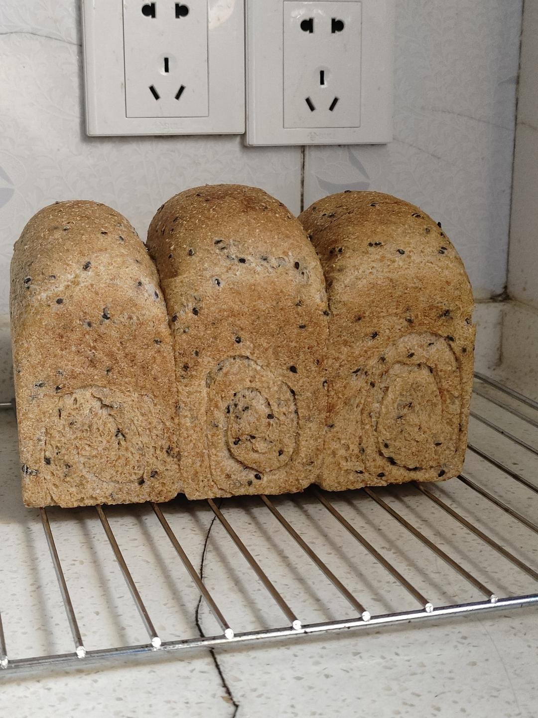 双种芝麻全麦吐司 100%全麦 烫种+波兰种