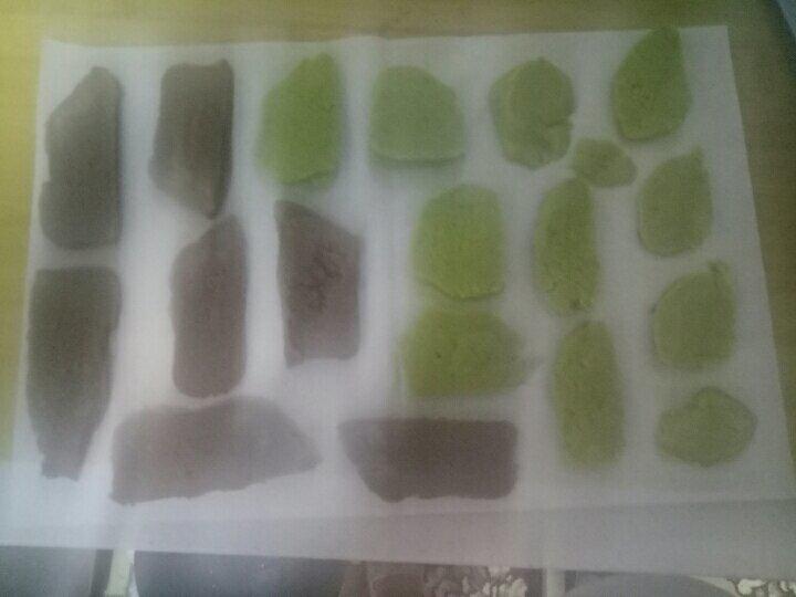 《Tinrry+》蔓越莓曲奇（超简单曲奇配方）