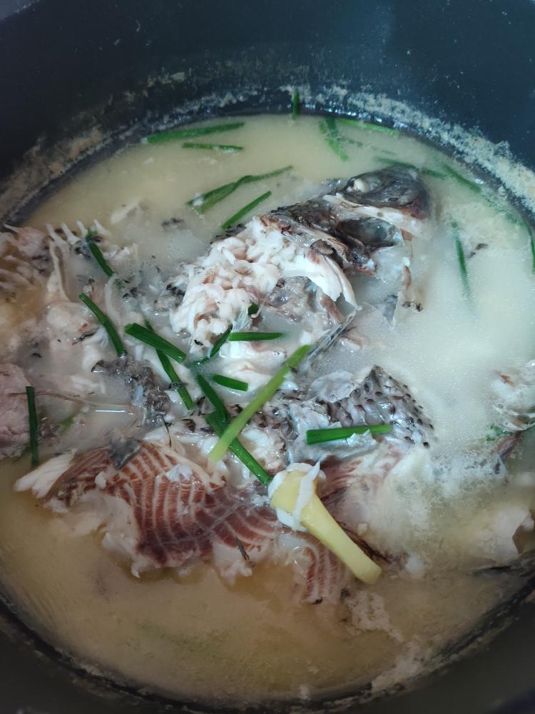 奶白罗非鱼汤