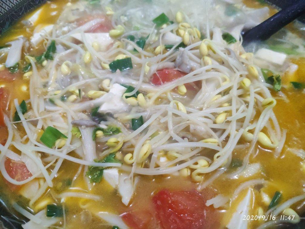 西红柿平菇豆腐汤