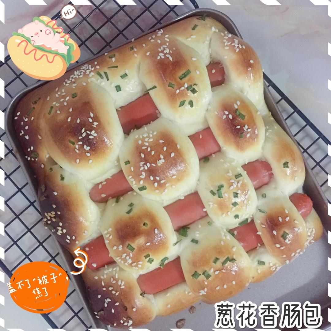 葱香火腿排包（一次发酵）