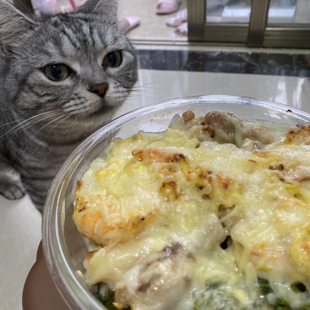 芝士焗饭