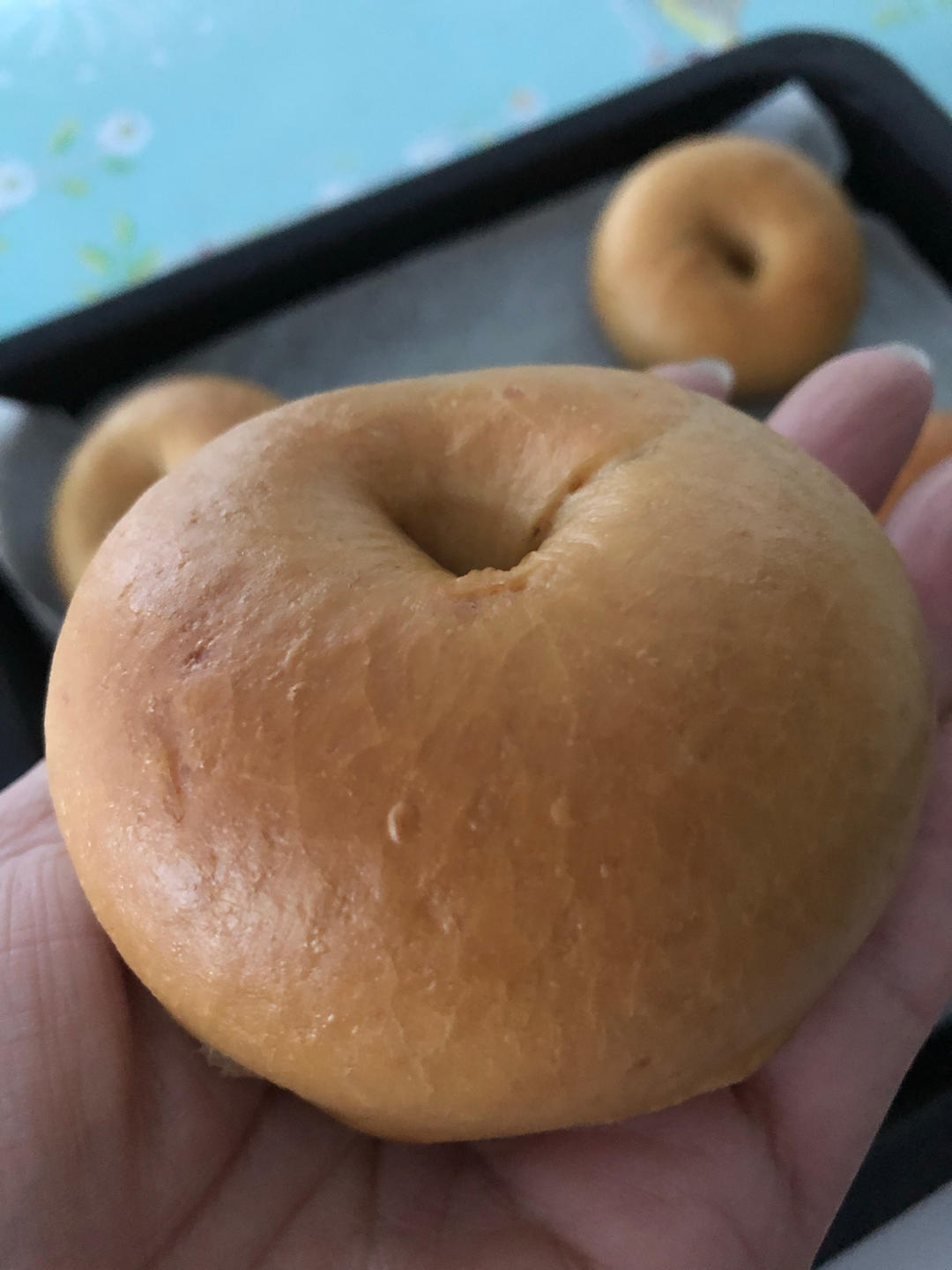 原味贝果🥯/黑芝麻贝果🥯