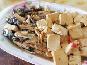 红烧黄骨鱼🐟配豆腐的做法 步骤4