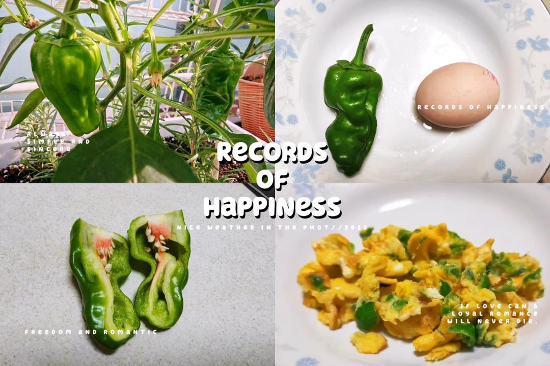 不一样的辣椒炒鸡蛋～下饭神器!
