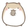 Smile浅陌兮_5c26